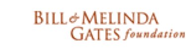 Gates Foundation Logo Small