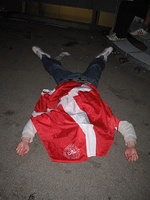 Down and out after the Euro 2008 qualifer against Sweden